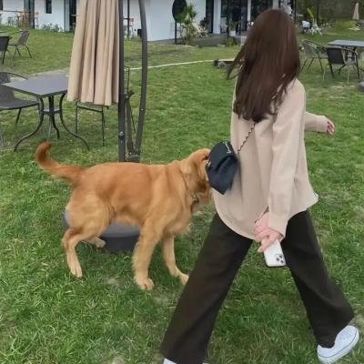 极限挑战第二季